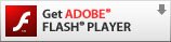 Download ADOBE Flash Player to view the video